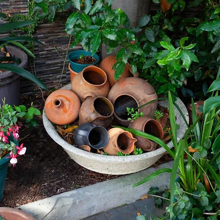 Solar D'azeiteira ホステル *